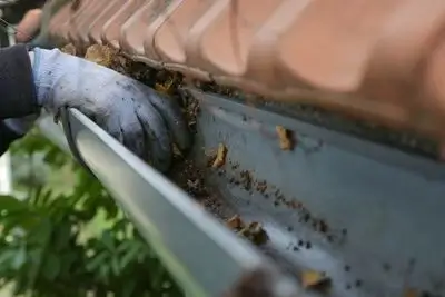 gutter cleaning Springfield