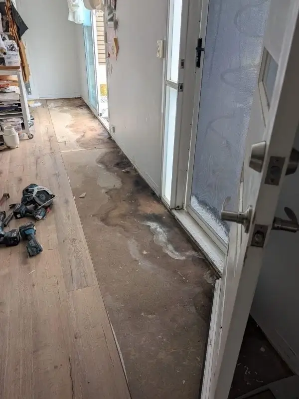 damaged timber flooring in Springfield